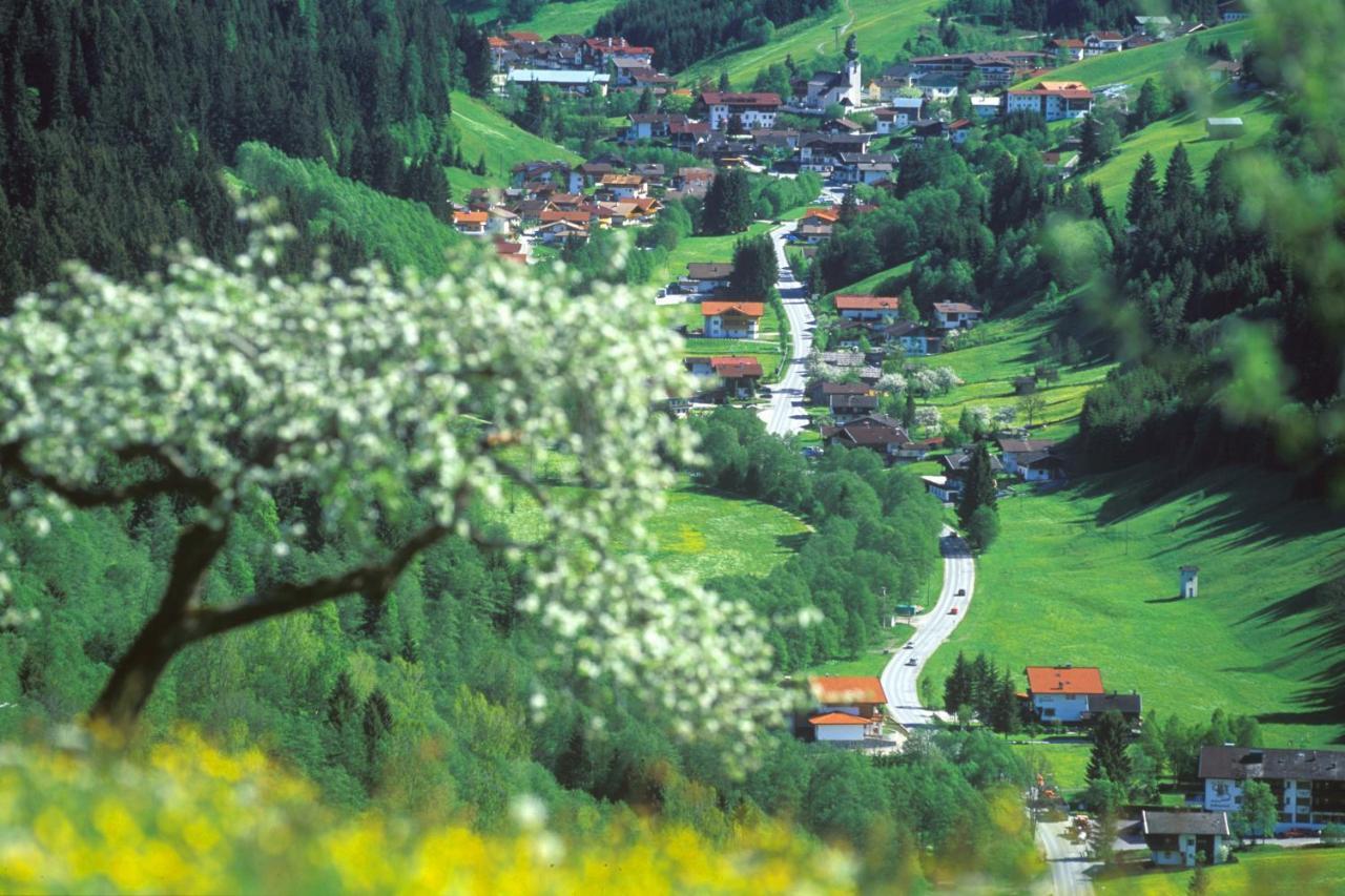 Haus Am Wildbach Hotel Auffach Ngoại thất bức ảnh